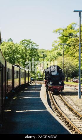 BAD DOBERAN, Germania - 13 Maggio 2019 - la locomotiva a vapore molli nella stazione ferroviaria di Bad Doberan Foto Stock