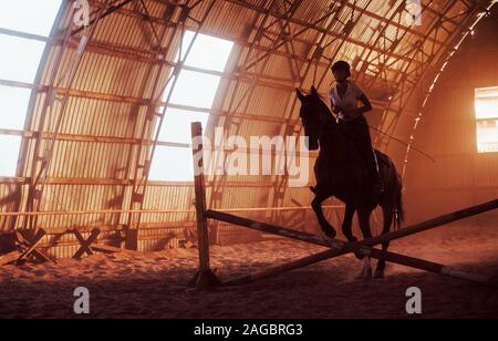 Immagine maestosa del cavallo di silhouette con pilota sul tramonto sullo sfondo. La ragazza fantino sul retro di uno stallone corse in un hangar in agriturismo Foto Stock