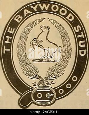 . Allevatore e sportivo. Aggiudicati Gold MedalAt California StateFair 1892. Ogni cavallo whovalues proprietario il suo stock shouldconstantly hanno un sup-tela di esso a portata di mano. E Itimproves keepsstock nel pink ofcondition. Manhattan Pood Co3 253 Folaom San, San FranciscoABk il vostro negozio di generi alimentari o i concessionari per esso. Sfera rossa marca cure positivamente le coliche, purga e indigestione. C. p. KERTEI.T,, Manager.. Il prigioniero BAYWOOD il bungalow, San Mateo, CAL. (Proprietà ol John Parrott, Esq.) dedicato esclusivamente per l allevamento e la formazione di alto livello a Passo cablaggioHackney-Bredcavalli WALTER SEAIT, Manager. iIImm IFI. *(* M n. Foto Stock