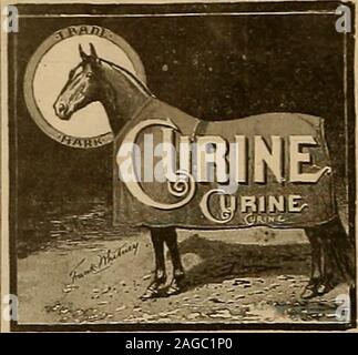 . Allevatore e sportivo. Le compresse di Royce, Kilchels pomata lenitiva, De Boise pomata lenitiva, GoingsOonditioD polveri, Dixons condizione polveri, California ConditionPowders, Kniccurbocker zoccolo unguento, Campbells cavallo FootRemedy, Ben Rohrers Hoot unguento, Spelterine, Stevens unguento.Oeridine, caustica Gombaults Balsamo, Kitchels Spavin indurimento, Per-rins .Spavin indurimento, Perrins Scratch curare, vento Bege Pufi cura,Sparkhalls .specifico, EUimans Embrocation, il dottor Daniels olicCure, Goings coliche polveri, Goings tosse polveri, Goings Worm1owders, Welchs inalatore veterinario. Agente per Boyce compresse, Kitchels, Perrins e il dott. Foto Stock