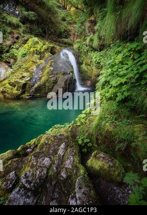 Immagine verticale di una splendida laguna circondata da rocce mussose e la foresta di Skrad, Croazia Foto Stock