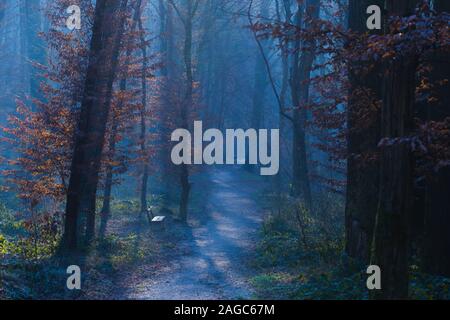 Bellissimo scatto di un sentiero cupo nel parco di Maksimir a Zagabria, Croazia Foto Stock