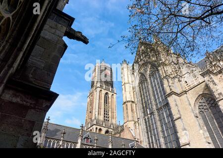 La Chiesa del Duomo e la torre di Dom in Utrecht nei Paesi Bassi. Sulla torre ponteggio a causa di lavori di restauro e di rosso bianco i colori della città di Utrecht. Foto Stock