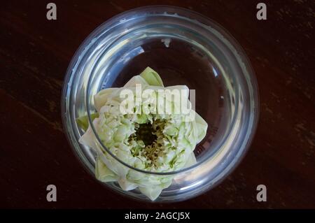 Inquadratura ad angolo alto di un fiore bianco in plastica ciotola su una superficie di legno Foto Stock