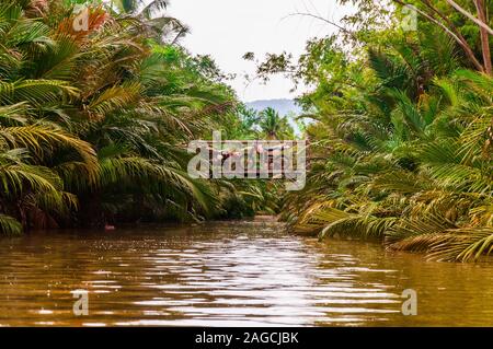 Primo piano di un lago sporco e inquinato circondato da un angolo basso da piante verdi Foto Stock
