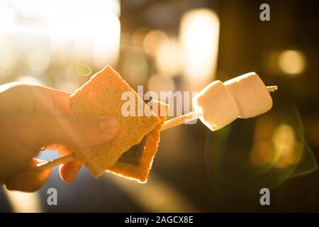 Persona che fa le macchie con i biscotti, cioccolato e marshmallow ad un picnic su uno sfondo sfocato Foto Stock