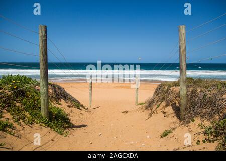 Percorso con una recinzione di filo attaccato a bastoni di legno vicino piante verdi sulla spiaggia Foto Stock