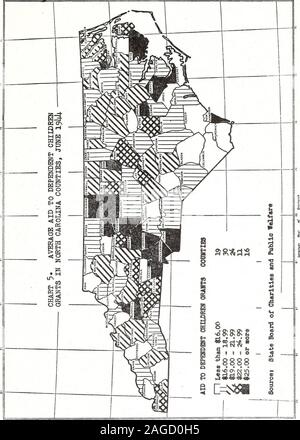 . Relazione biennale della scheda di stato degli enti di beneficenza e il benessere pubblico all'Assemblea Generale della Carolina del Nord. Scheda di stato degli enti di beneficenza e il benessere pubblico 31. 32 Relazione biennale Foto Stock