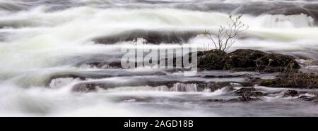 Leipikälven vicino a Stora Blåsjön, Wilderness Road, Svezia Foto Stock