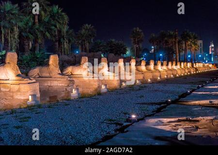 Novembre 17, 2019, Luxor, Egitto - Avenue della Sfinge del Tempio di Luxor a notte (antica Tebe) è stato costruito circa 1400 BCE Foto Stock