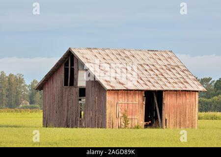 Vecchio fienile di legno che si stalla a Roslagen, Svezia Foto Stock