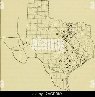 . La geografia del Texas, fisico e politico. Fig. 22. Pozzo artesiano sul bosque Farm,(come è apparso nel 1890) Quattro MilesWest di Waco, nella contea McLennan, E248 piedi sopra la piazza pubblica di pendenza. Finora i pozzetti hanno dimostrato l' esistenza di falde acquifere in alcune formazioni appartenenti a quattro dei sistemi rock - il Neocene, Eocene, la creta-ceous e carbonifero. Le acque dell'ultimo, nel bacino centrale, contengono tanta sostanze minerali come da acque superficiali e sotterranee 37 di poco valore e alcuni dei pozzi vicino alla costa furnishbrackish o acque sulfuree. Di Foto Stock