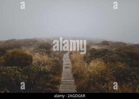 Foto ad alto angolo di un sentiero in legno coperto di nebbia nel Monte Taranaki, Nuova Zelanda Foto Stock