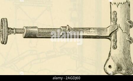 . La moderna chirurgia generale e operativa. Fig. 327.-Lowman-Lambotte osso-holding forcipe. carni con osso di schegge può essere interposto, o una porzione di una nervatura può essere utilizzato con leviti o chiodi come una morsa. È sempre auspicabile prendere l'osso-innesto dal recinto individuale. Tale innesto è più potentemente stimolante per osso growththan un innesto da un altro individuo o da uno degli animali inferiori. Tran.s-plantation da animali inferiori è stata tuttavia praticata con successo(vedi pagina 574). Albee ritiene che in un recente frattura piastre corsie soddisfano 6i4 Malattie e lesioni delle ossa e articolazioni. Foto Stock