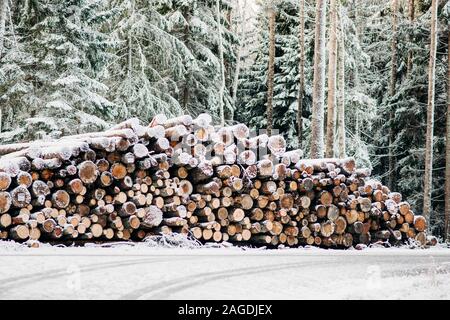 Gran mucchio di registri sul lato di una strada coperta di neve in Svezia Foto Stock