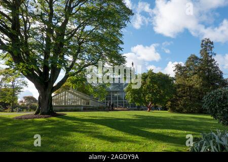 I Giardini Botanici Nazionali (Glasnevin) in Dublin , Ireland Foto Stock