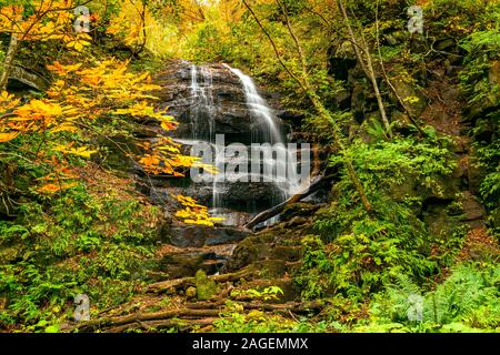 Alta cascata nel colorato fogliame di autunno foresta a flusso Oirase sentiero a piedi in Oirase Gorge, Towada Hachimantai National Park, Aomori Prefe Foto Stock