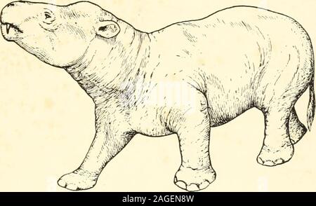 . L'evoluzione della terra e dei suoi abitanti; una serie consegnate prima della Yale capitolo della Sigma xi durante l'anno accademico 1916-1917. FIG. A.. FIG. B Foto Stock