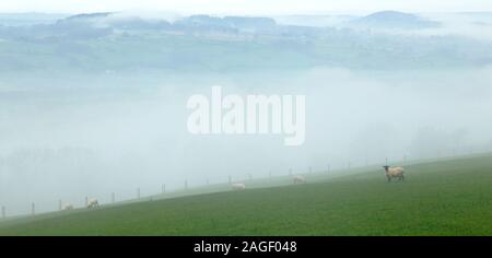 Mattinata nebbiosa nella valle di Ax, East Devon visto dalla collina Musbury Foto Stock