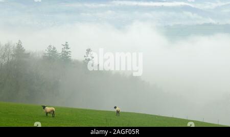 Mattinata nebbiosa nella valle di Ax, East Devon visto dalla collina Musbury Foto Stock