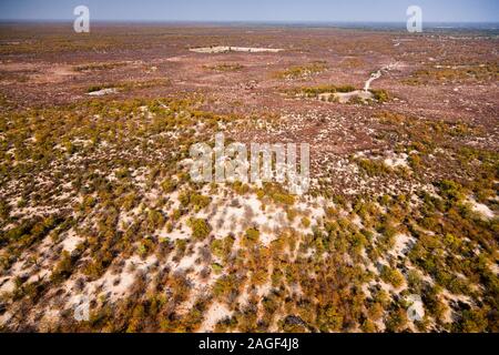 Arbusti e deserto vicino a Maun, vista aerea del delta di Okavango, volo in elicottero, Botswana, Africa meridionale, Africa Foto Stock