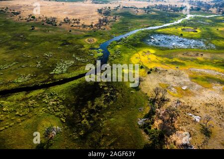 Fiume Okavango in paludi, praterie, vista aerea, delta dell'Okavango, in elicottero, Botswana, Africa Meridionale, Africa Foto Stock