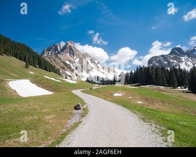 Sentiero escursionistico e sentiero nel Parco Naturale del Gantrisch (Parco Naturale), cantone di Berna, Oberland Bernese, Alpi svizzere, Svizzera Foto Stock