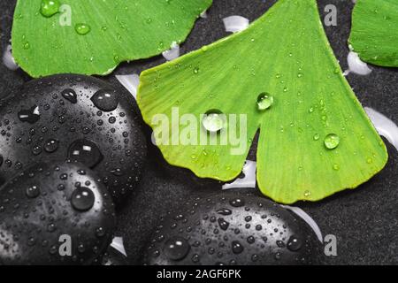 Pietre calde e ginkgo per il benessere Foto Stock