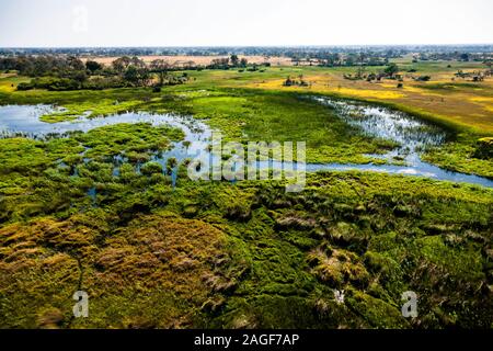 Paludi verdi e paludi, praterie, fiume, vista aerea del delta dell'Okavango, in elicottero, Botswana, Africa Meridionale, Africa Foto Stock