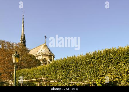 Sul retro della Cattedrale di Notre Dame con la guglia distrutta in aprile 2019 fire, da Giovanni XXIII giardino in una soleggiata giornata autunnale, Parigi, Francia Foto Stock