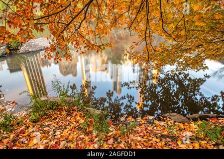 Caduta delle foglie, Central Park, Manhattan, New York, Stati Uniti d'America Foto Stock