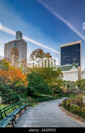 Caduta delle foglie, Central Park, Manhattan, New York, Stati Uniti d'America Foto Stock