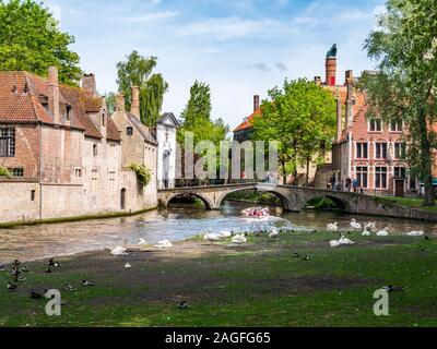 Persone in barca, Wijngaard ponte sul canal e uccelli nel parco di Wijngaardplein a Bruges, Belgio Foto Stock