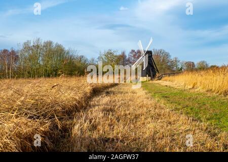 Vecchia Pompa di vento e WIcken fen con alte erbe delle paludi eother lato in una giornata di sole. Foto Stock