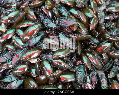 Fritti di coleotteri in vendita in stallo nel mercato a Skun in Kampong Cham Provincia, in Cambogia. Foto Stock