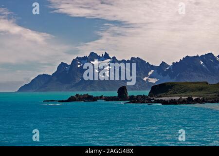 Cooper Bay, Georgia del Sud Foto Stock