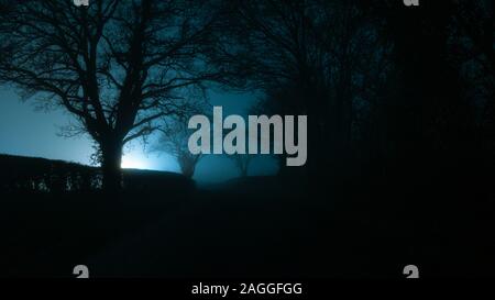 Un misterioso moody, scary lane, alberi stagliano contro una luce su una nebbia inverni atmosferica notte Foto Stock