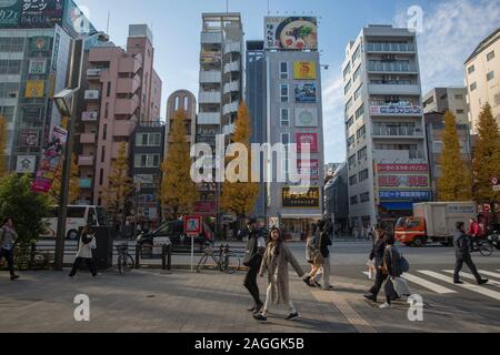 Tokyo, Giappone. Xviii Dicembre, 2019. La gente a piedi su Chuo-dori Avenue street a Akihabara, Tokyo.Akihabara, chiamato anche Akiba dopo un ex santuario locale, è un quartiere centrale di Tokyo che è famosa per i suoi molti negozi di elettronica. In anni più recenti, Akihabara ha guadagnato il riconoscimento come il centro del Giappone otaku (i cultori del ventilatore) cultura e molti negozi e stabilimenti dedicati alle anime e manga ora sono dispersi tra i negozi di elettronica nel distretto. Credito: Stanislav Kogiku SOPA/images/ZUMA filo/Alamy Live News Foto Stock