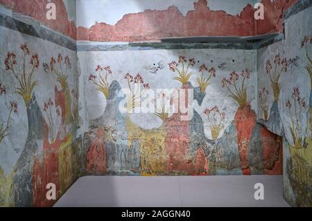 La molla di Minoan affresco dipinto da Akrotiri, Nazionale Museo Archeologico di Atene Minoan artefatto. 17th-16th cent BC. La Minoan 'Spring Fr