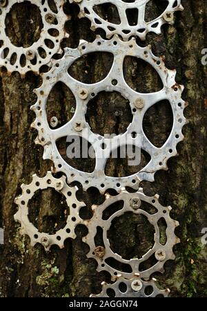 Bicicletta denti di ingranaggio fissato ad un palo di legno come un concetto artistico. Foto Stock