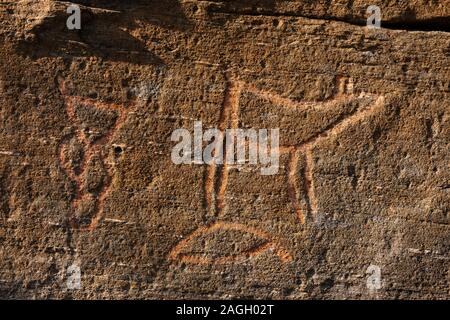 SKAVBERGET, KVALØYA ISALND, Troms County, Norvegia - Prehistoric incisioni rupestri, Helleristninger, Norvegia settentrionale. Foto Stock