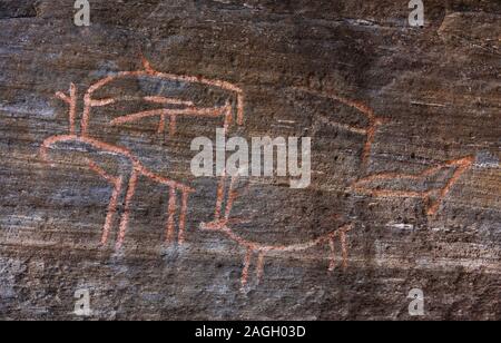 SKAVBERGET, KVALØYA ISALND, Troms County, Norvegia - Prehistoric incisioni rupestri, Helleristninger, Norvegia settentrionale. Foto Stock