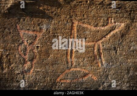 SKAVBERGET, KVALØYA ISALND, Troms County, Norvegia - Prehistoric incisioni rupestri, Helleristninger, Norvegia settentrionale. Foto Stock