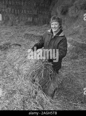 1980s, storico, una signora contadina in fienile in balle di fieno in movimento, Yorkshire, Inghilterra, Regno Unito. Foto Stock