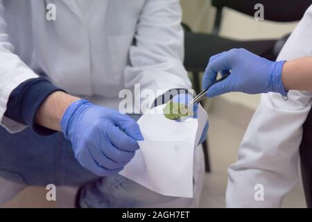 I tecnici forensi prendendo campioni di DNA da sangue la macchia con un batuffolo di cotone su omicidio scena del crimine. Esperto di criminologia di raccolta delle prove il crimine Foto Stock