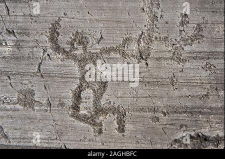 Petroglyph, rock carving, di un guerriero di ballo holding spade e scudi. Scavate da antichi Camuni persone in età del ferro tra il 1000-1600 A.C. R Foto Stock