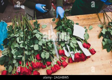 A gambo lungo, rose rosse prima di essere confezionati. I fiori sono sul contatore nel negozio di fiori. Foto Stock