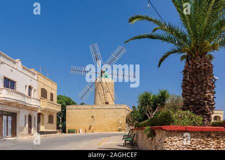 Mulino a vento di Ta' Kola e il palm in Xaghra village, nell isola di Gozo, Malta Foto Stock