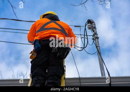 Una bassa angolazione di un servizio domestico ingegnere provider di installare nuovi cavi a fibre ottiche per una casa residenziale, lavorando da scale con cinture portautensili Foto Stock