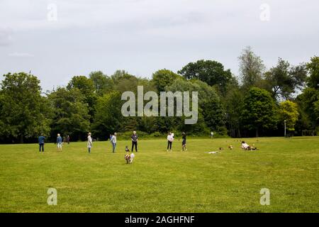 Vista di persone appendere fuori sul campo di erba con i loro cani, alberi a Vondelpark di Amsterdam. Si tratta di un pubblico parco urbano di 47 ettari. Si tratta di un estate Foto Stock